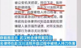武汉中学生爆料案件最新,校园疑云揭开真相