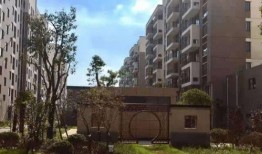 深圳周小姐最新爆料电话,揭秘电话背后的惊人真相