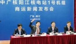 阳江新闻最新爆料,重大事件背后真相揭晓