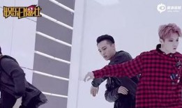 鹿晗反面爆料视频大全最新,背后真相与争议事件大盘点