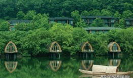 2k24年卡最新爆料