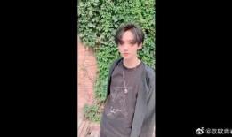 李宏毅最新爆料消息新闻,揭秘娱乐圈惊人内幕！