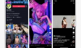 大网红最新爆料视频大全,视频大全背后的惊人真相