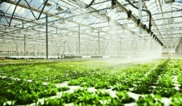 河北产业城吃瓜最新事件爆料,揭秘背后惊人真相