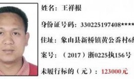 层岩舅最新爆料35,35岁人生新篇章，揭秘不为人知的背后故事