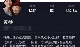 爆料黄琴的视频最新,揭秘娱乐圈惊人内幕