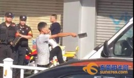 东莞常平最新爆料信息网,热点事件速览，揭秘城市动态