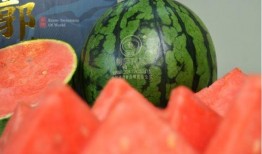 潍坊爆料视频吃瓜事件最新,揭秘背后真相与网络舆论风暴