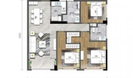 深圳周小姐最新爆料电话,揭秘电话背后的惊人真相