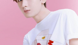 成毅主播爆料最新消息视频,揭秘娱乐圈幕后真相