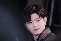 任嘉伦邢菲最新爆料消息,甜蜜互动引期待，新剧幕后故事大揭秘！