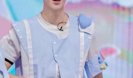 最新爆料白鹿王鹤棣