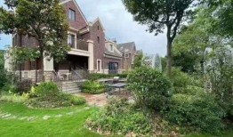 上海匿名新闻爆料事件最新