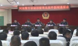 宜州新闻爆料网最新动态,最新动态聚焦城市热点事件