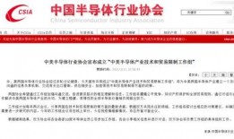 中国芯片大爆料最新消息