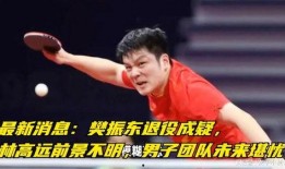 樊振东最新爆料,备战东京奥运的幕后故事与心路历程”