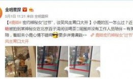 鹿晗反面爆料视频大全最新,背后真相与争议事件大盘点