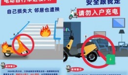 电动汽车诈骗事件最新爆料,揭秘连环骗局，车主权益如何保障？