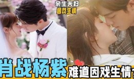 杨紫肖战视频爆料最新,揭秘娱乐圈幕后真相