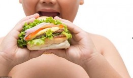 小虾米最新爆料,揭秘娱乐圈最新热点事件