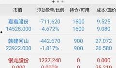 银龙官方爆料最新消息,神秘新内容即将揭晓，敬请期待！