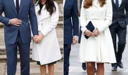 哈里梅根最新信息爆料,最新爆料揭示惊人内幕