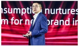 阿里巴巴蒋凡最新爆料,阿里巴巴最新战略布局与行业洞察