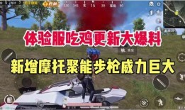 吃鸡新爆料最新视频大全,揭秘最新视频大全中的精彩瞬间