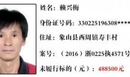 层岩舅最新爆料35,35岁人生新篇章，揭秘不为人知的背后故事