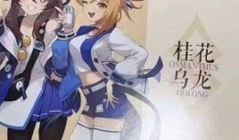 原神最新爆料抽奖时间表,揭秘抽奖时间表，精彩活动即将来袭！