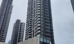 天合名门最新爆料视频,揭秘神秘事件背后的真相