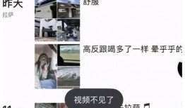 卓仕琳小杨哥最新爆料,揭秘娱乐圈最新动态