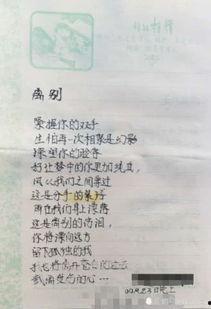 老板日记爆料大全最新版,揭秘企业内幕与真实故事