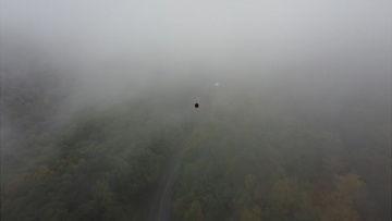 风景最新爆料视频下载安装,视频下载安装全攻略