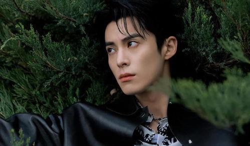 最新爆料白鹿王鹤棣